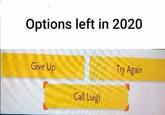 Options left in 2020 Give Up Try Again Call Luigi