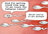 God I'm getting tired! How long 'til we reach the fallopian tubes? Bruh we're in an armpit