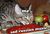 @strbiposting me sad russian music