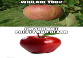 WHO ARE YOU? imgflip.com FM YOU BUT PRETTY AND BLAND imgflip.com