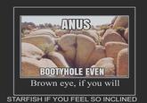 ANUS BOOTYHOLE EVEN @prettypleasesir Brown eye, if you will STARFISH IF YOU FEEL SO INCLINED