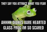 THEY SAY YOU ATTRACT WHAT YOU FEAR AHHHH DIANES BARE HEARTED GLASS FROG IM SO SCARED