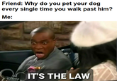 Friend: Why do you pet your dog every single time you walk past him? Me: IT'S THE LAW