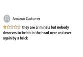 Amazon Customer * * they are criminals but nobody deserves to be hit in the head over and over again by a brick