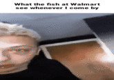 What the fish at Walmart see whenever I come by