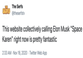 The Serfs THE SERES @theserfstv This website collectively calling Elon Musk "Space Karen" right now is pretty fantastic 2:33 AM · Nov 16, 2020 · Twitter Web App