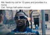 Me: feeds my cat for 13 years and provides it a home Cat: *brings half-eaten mouse* We're even now, bitch.