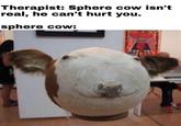 Therapist: Sphere cow isn't real, he can't hurt you. sphere cow: