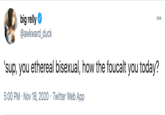 big relly O @awkward_duck 000 'sup, you ethereal bisexual, how the foucalt you today? 5:00 PM · Nov 18, 2020 · Twitter Web App