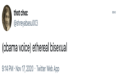 thot choc 00 @shreyabasu003 (obama voice) ethereal bisexual 9:14 PM · Nov 17, 2020 · Twitter Web App