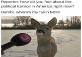 Reporter: how do you feel about the political turmoil in America right now? Bambi: where's my fukin Mom
