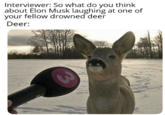 Interviewer: So what do you think about Elon Musk laughing at one of your fellow drowned deer Deer: LOHNNNNNCE