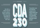 PRESENT: CDA 230 "No provider or user CDA 230 is a federal law that of an interactive computer service prevents websites, blogs, and forums from being held responsible for the speech of their users. shall be treated as the publisher or speaker of any information provided by another information content provider."