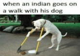 when an indian goes on a walk with his dog