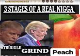 3 STAGES OF A REAL N---- STRUGGLE GRIND Peach