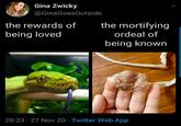 Gina Zwicky @GinaGoesOutside the rewards of the mortifying being loved ordeal of being known 20:23 · 27 Nov 20 · Twitter Web App