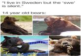 "I live in Sweden but the 'swe' is silent." 14 year old bears:
