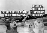 HE ATE MY WHOLE JAR OF ISTHIS ABETTER ATOMIC FLINTSTONES GUMMIES BOMB ALTERNATIVE