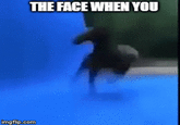 THE FACE WHEN YOU imgflip.com
