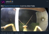 the #galacticfederation is at my door help cadence @sinjindcups 00 the #galacticfederation is at my door help gcom 6:44 AM · Dec 9, 2020 · Twitter for iPhone