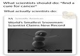 What scientists should do: *find a cure for cancer* What actually scientists do: SA Scientific American World's Smallest Snowman: Scientist Claims New Record UWO CrossBeam Mag- 25.00 KX EHT 1.00 kV WD = 4.2 mm Signal A= SE2 FIB Imaging= SEM Date :16 Dec 2016 Time :11:32:17 200 nm