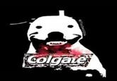 Colgate @Tacbeiloi