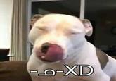 0-XD