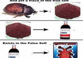 red dye pill And yet a trace of the true self HD FOOD COLD Exists in the False Self CROCLY SummY RED FOOD COLOR COUMICE