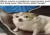 When you're a medieval court jester and the king says "Not funny didn't laugh"