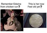 Nightmare Fuel Remember Edwina This is her now from chicken run ? Feel old yet?