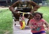 he coming Orangutan on a tricycle Child who is rightfully scared, as there is an orangutan on a tricycle.