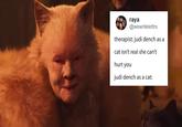 raya @wewritelettrs therapist: judi dench as a cat isn't real she can't hurt you judi dench as a cat: