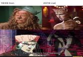 1939 lion 2019 cat Perhaps humans have regressed over the years. ifunny.co