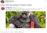 William Cheese @rat_food H-------- IM LOSING IT RIGHT NOW Pringles O @Pringles · Dec 16 You asked us to post a certain image of a certain gorilla to our feed. So here's what we can legally do. Hope you enjoy. 000 Pringles 68 t7 36 299 10:45 AM · Dec 17, 2020 · Twitter Web App