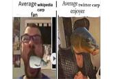 Average wikipedia | Average twitter carp enjoyer carp fan
