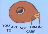 YOU ARE NOT IMMUNE TO CARP