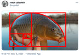 Mitch Goldstein 000 @mgoldst 9:43 PM · Dec 18, 2020 · Twitter Web App