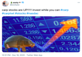 sooty @sootyea 000 carp stocks are UP!!!!! invest while you can #carp #carptwt #stocks #nasdac 11.560 1.286 2.286 0.156 N/A 0. 68 14563 1.0287 2.344 0.120 1% 0.1 0.234 10:31 PM - Dec 18, 2020 - Twitter Web App