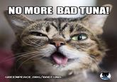 NO MORE BAD TUNA! GREENPEACE.ORG/BADT UNA