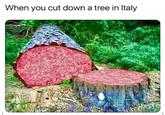 felling the salami tree When you cut down a tree in Italy Golficial agnew