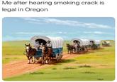Me after hearing smoking crack is legal in Oregon