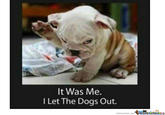 Guilty as charged It Was Me. I Let The Dogs Out. MameCenter memecenter.com