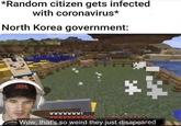*Random citizen gets infected with coronavirus* North Korea government: 3: AAAAA Wow, that's so weird they just disapeared