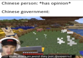 Chinese person: *has opinion* Chinese government: u/TeDoe Gaming ** Wow, that's so weird they just disapeared