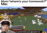 Mom:"where's your homework?" Me: ** CYKA 18 Wow, that's so weird they just disapeared imgflip.com