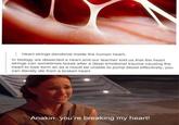 Heart strings (tendons) inside the human heart. In biology we dissected a heart and our teacher told us that the heart strings can sometimes break after a deep emotional trauma causing the heart to lose form an as a result be unable to pump blood effectively, you can literally die from a broken heart Anakin, you're breaking my heart!