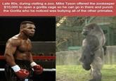 and this is real, "here is the story":https://www.insider.com/mike-tyson-once-offered-a-zookeeper-10000-to-fight-gorilla-2020-4 from insider.com - I checked, this WAS NOT AT THE CLEVELAND ZOO, so was not "Harambe":/memes/harambe-the-gorilla if that is what you are worried about.
