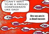 I CAN'T WAIT TO BE A PROUD CONFEDERATE LIKE DAD! Bro we are in a dead racoon