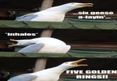 .Six geese a-layin'. *inhales* FIVE GOLDEN RINGS!!