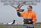 Don't let the government fool you with this quarantine PILOT CLFAR FEIGIT EARTIONS they only want you to stay home so they can change the batteries in the birds